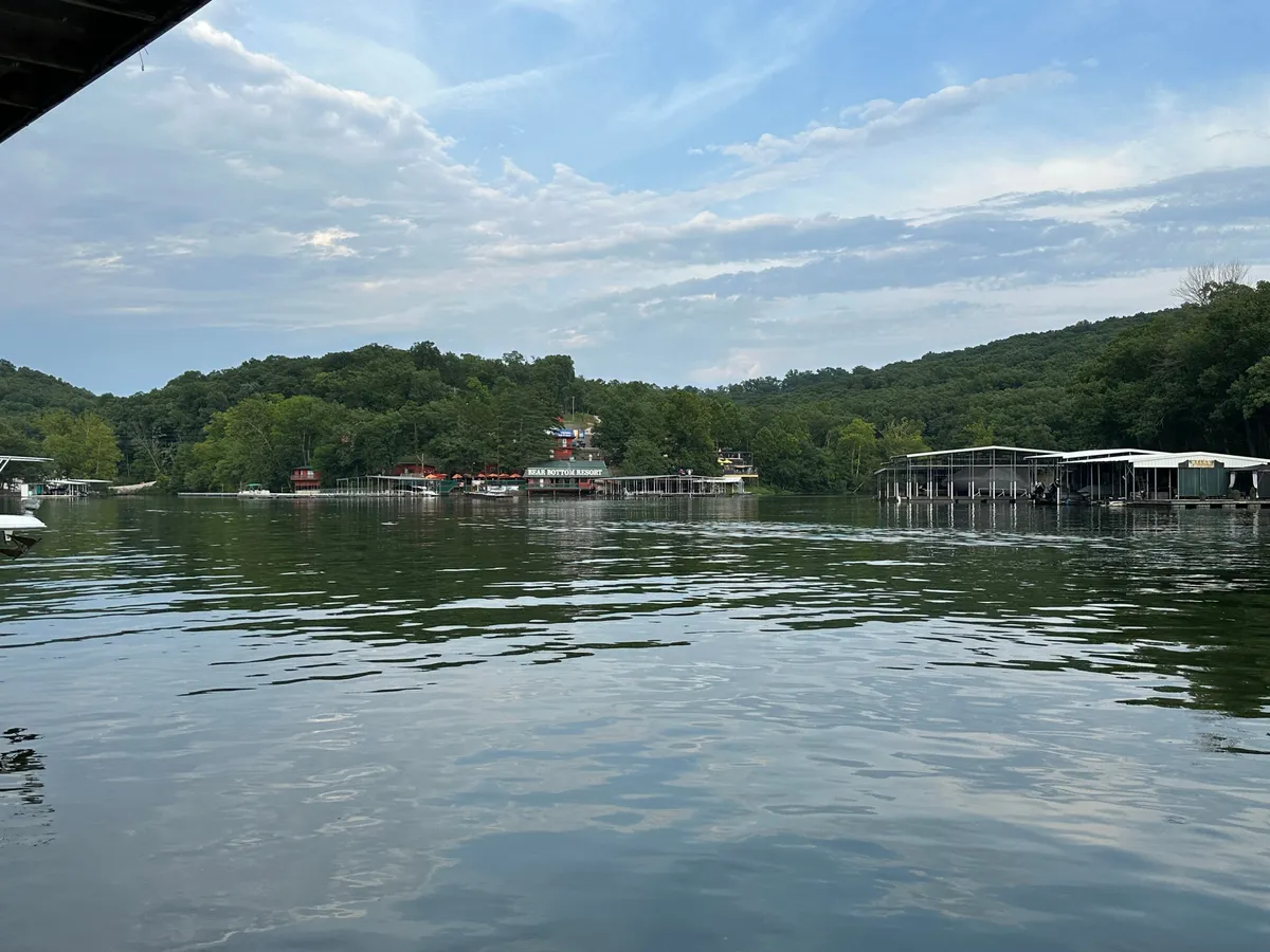 A tranquil lakeside view featuring calm waters, distant hills, boathouses, and a lush backdrop of trees. The open environment reflects a natural space ideal for outdoor activities and leisurely walks with pets.